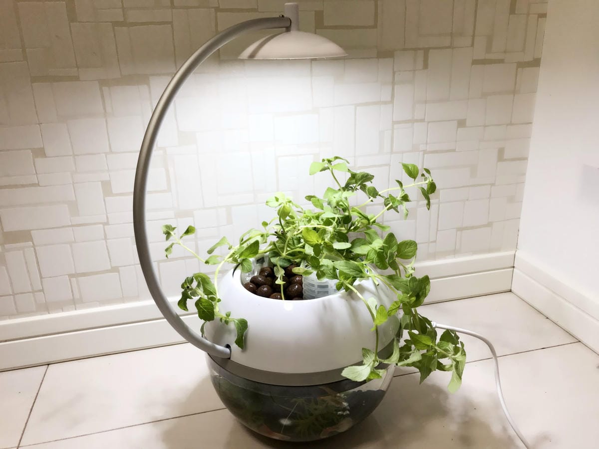 IMG_5831_副本.jpg IMG_5831_副本.jpg