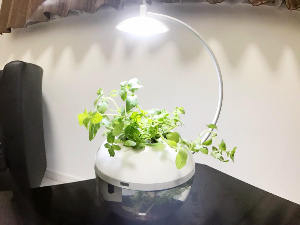 IMG_5817_副本.jpg IMG_5817_副本.jpg