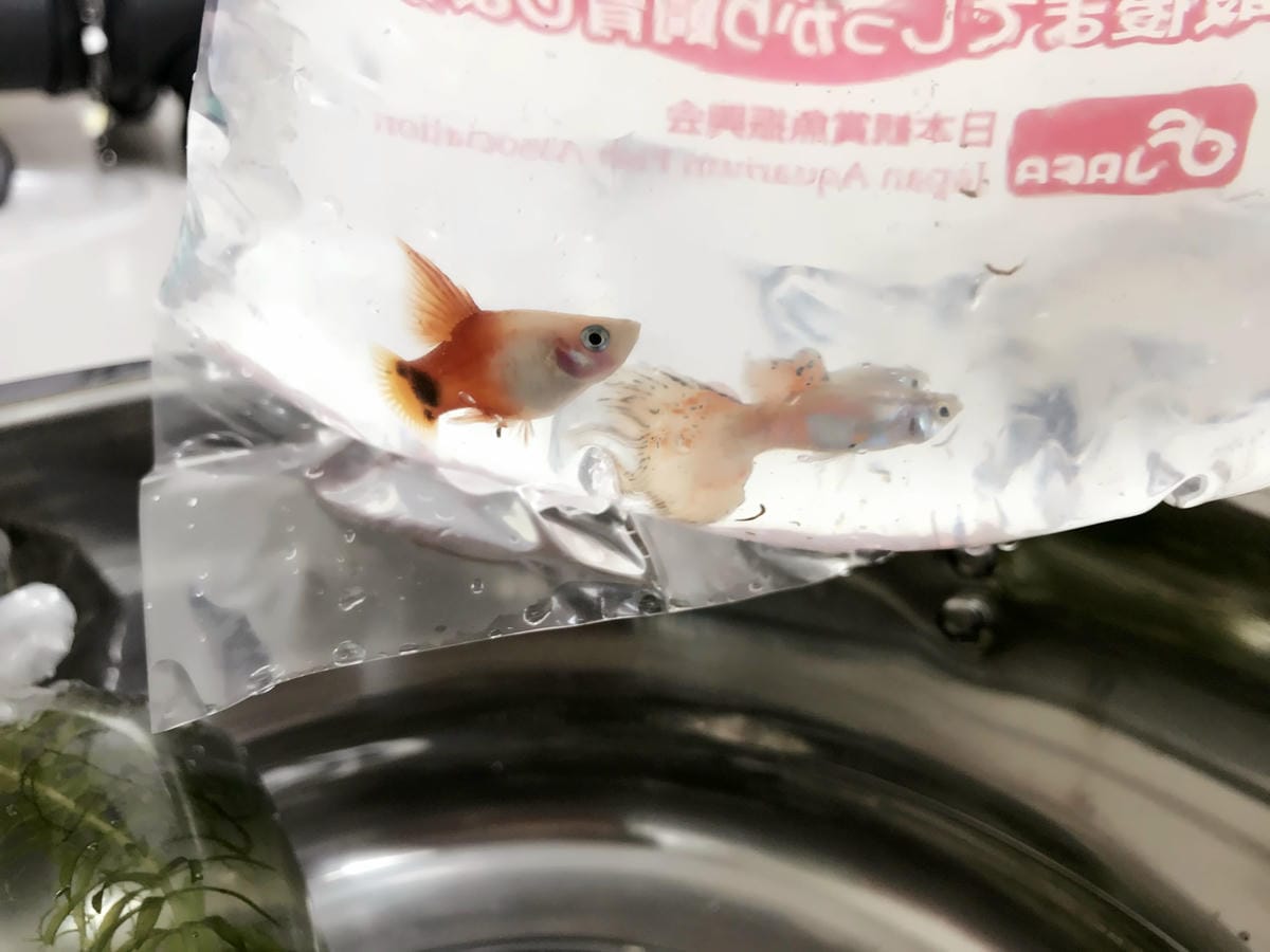 IMG_5530_副本.jpg IMG_5530_副本.jpg