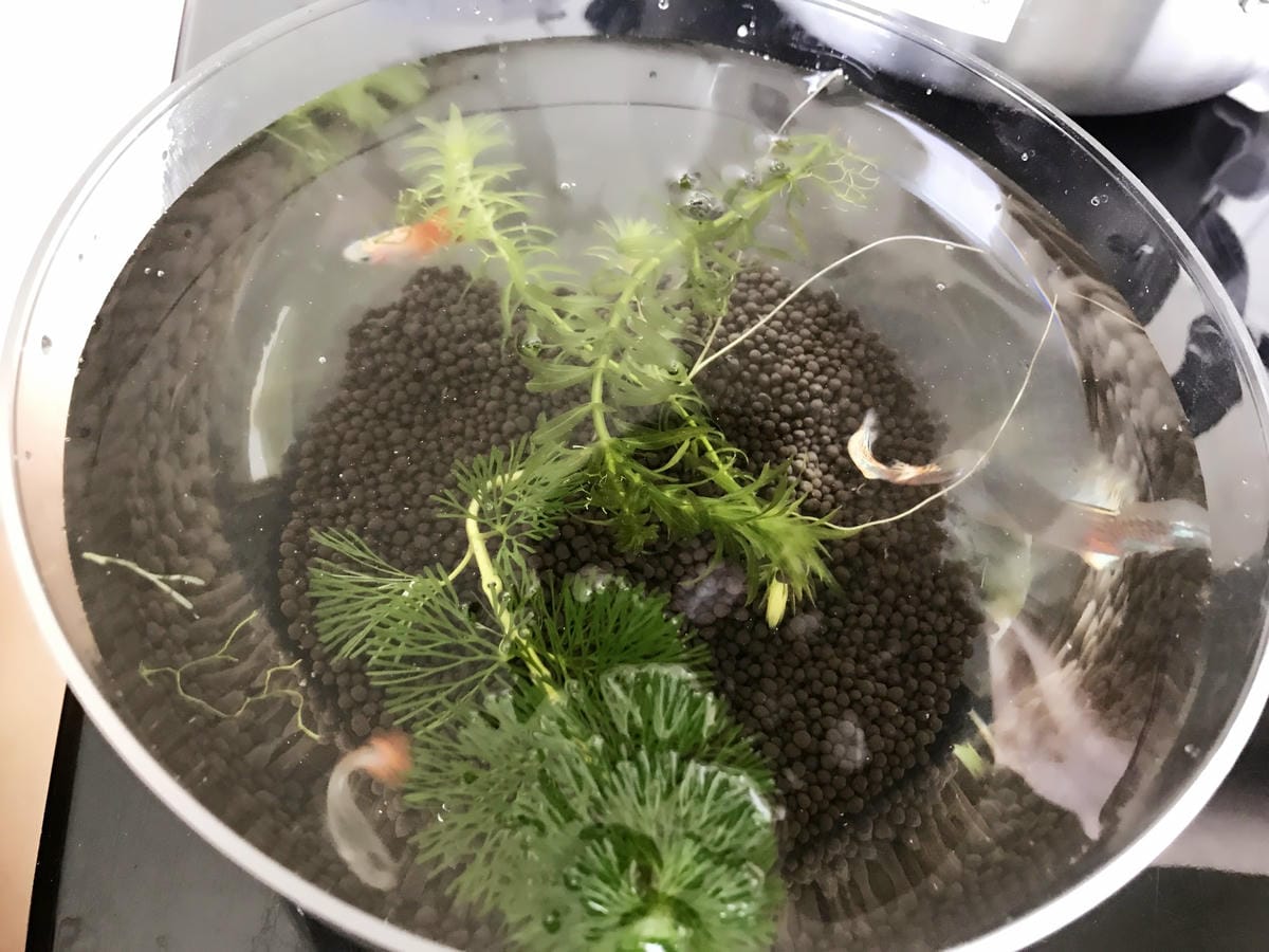 IMG_5538_副本.jpg IMG_5538_副本.jpg