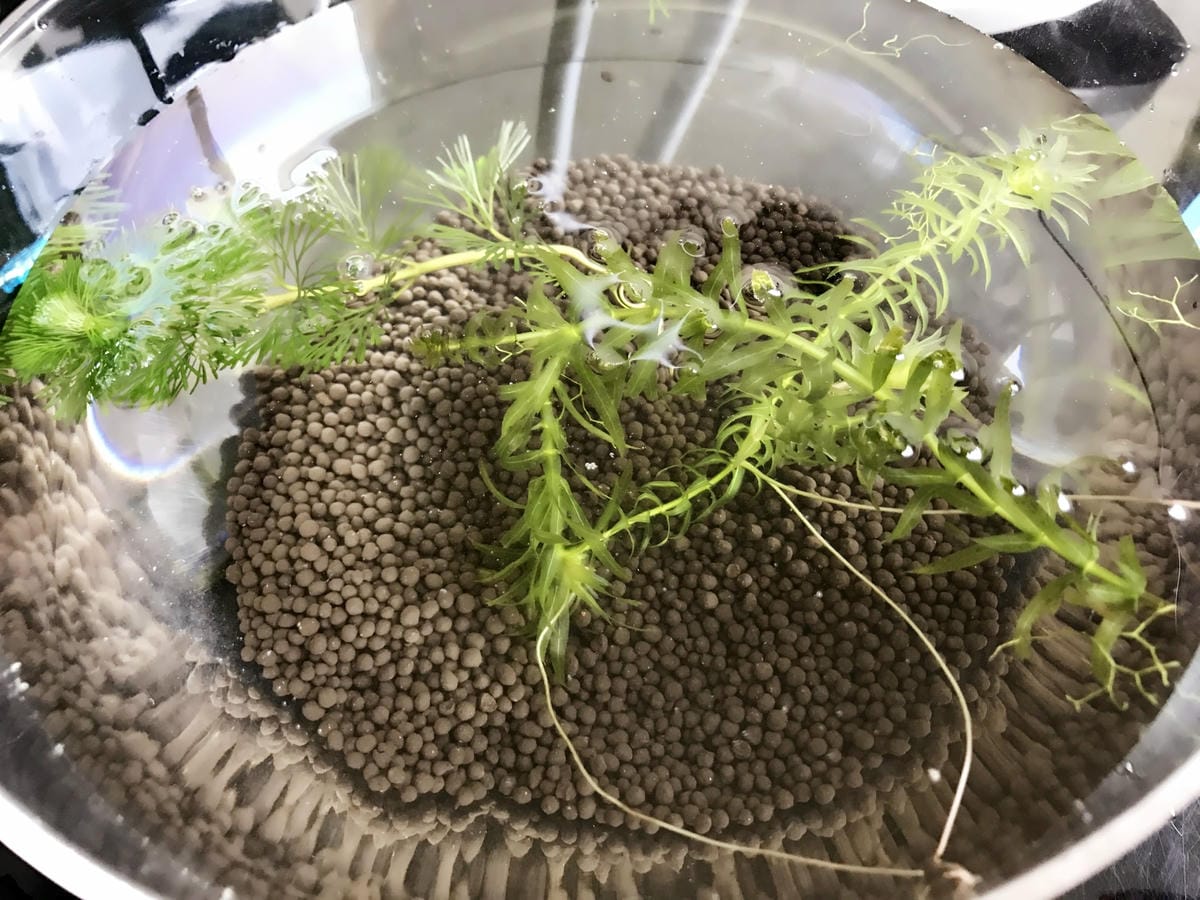 IMG_5537_副本.jpg IMG_5537_副本.jpg