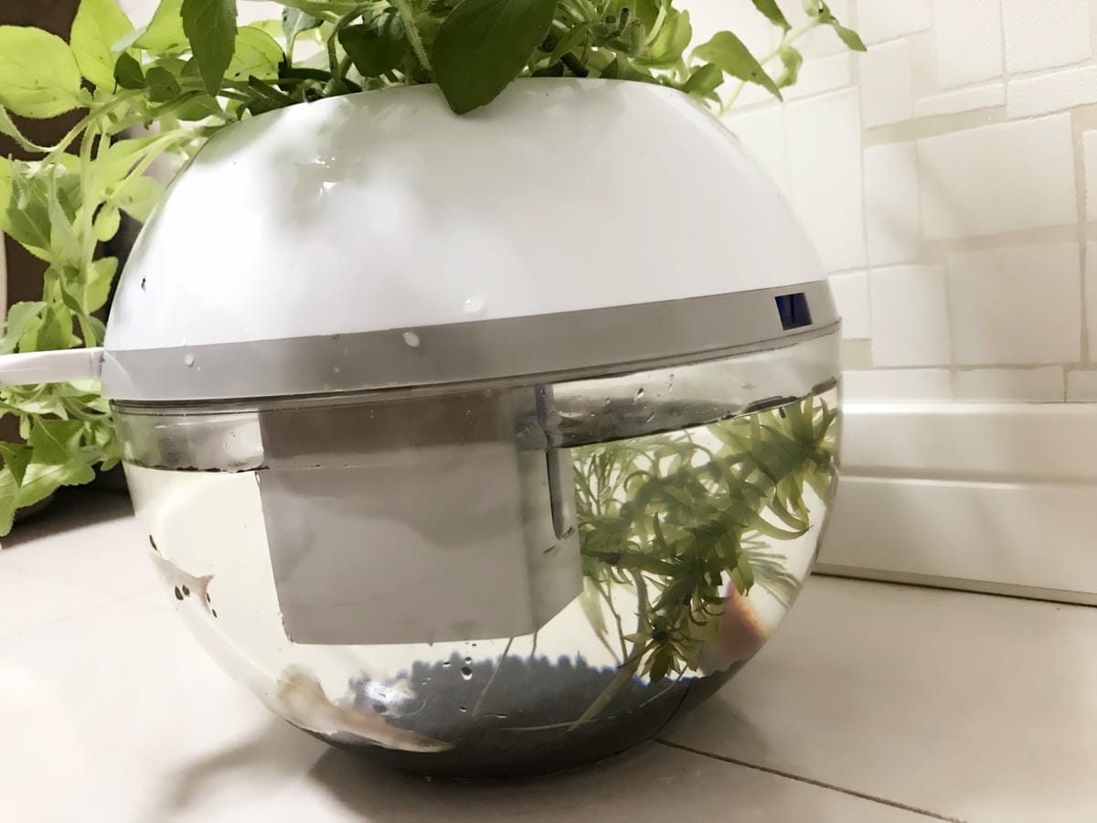 IMG_5829_副本.jpg IMG_5829_副本.jpg