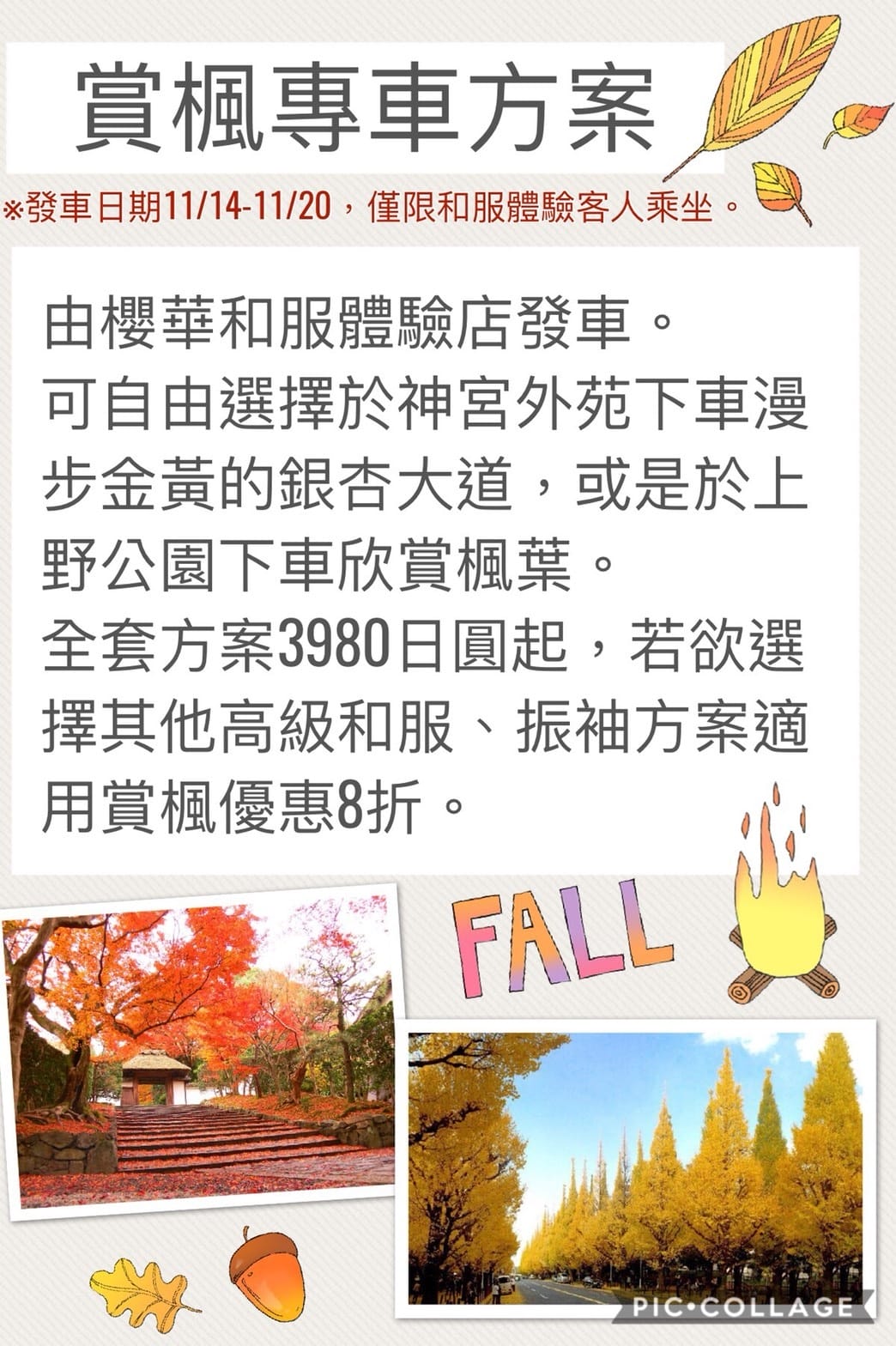 S__3555331.jpg S__3555331.jpg