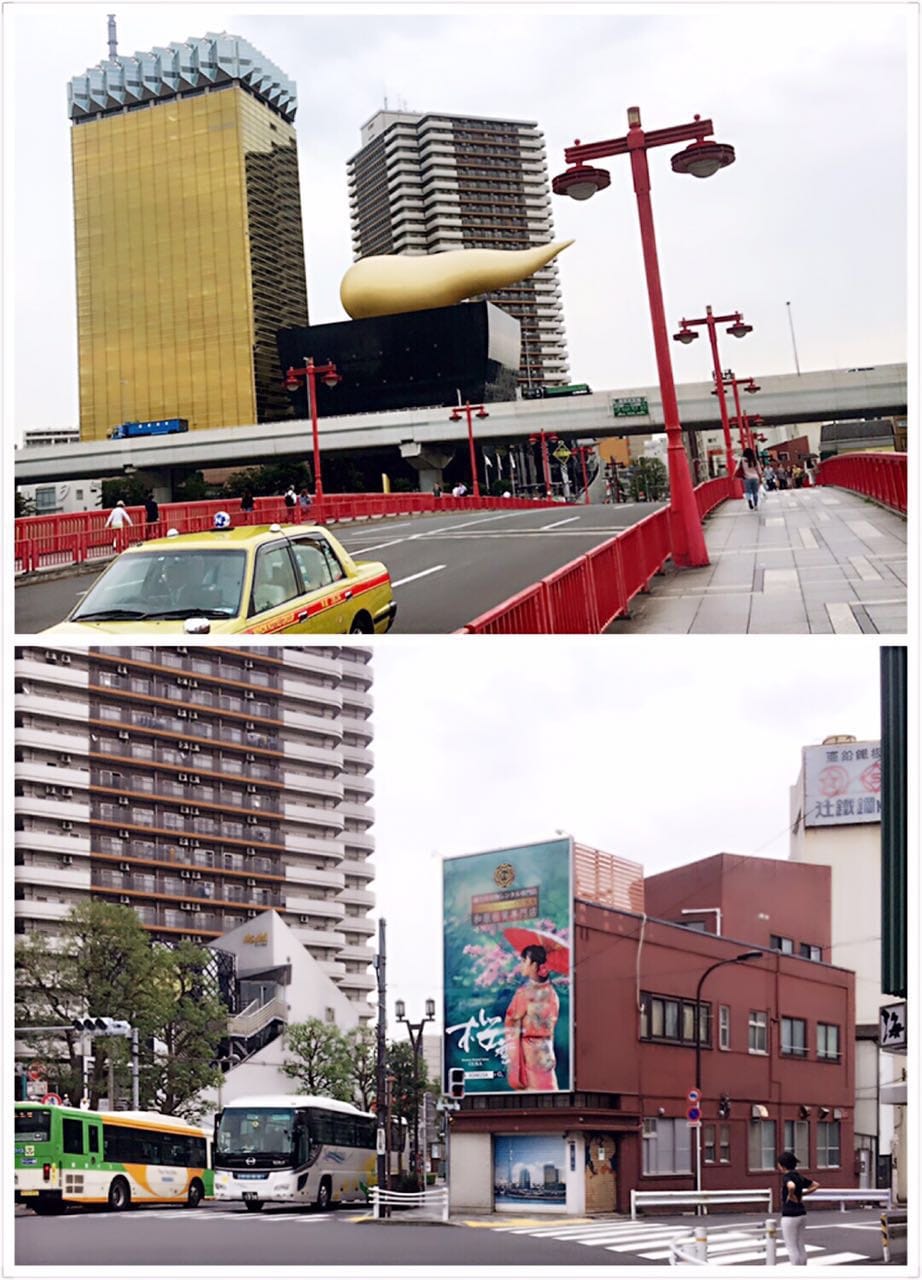 S__3538948.jpg S__3538948.jpg