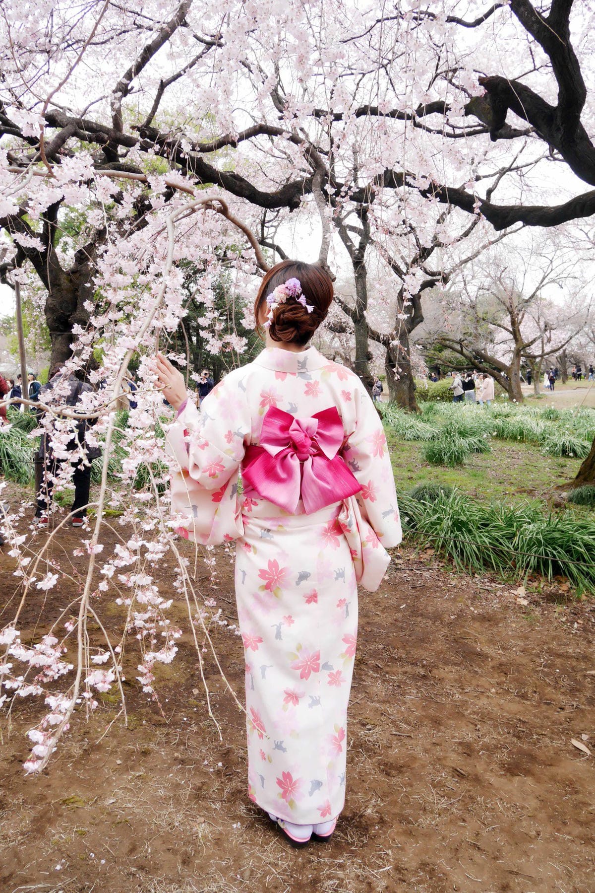 穿和服與浴衣泡溫泉在東京—大江戶溫泉物語/淺草愛和服著物體驗 透過客路訂購超划算~