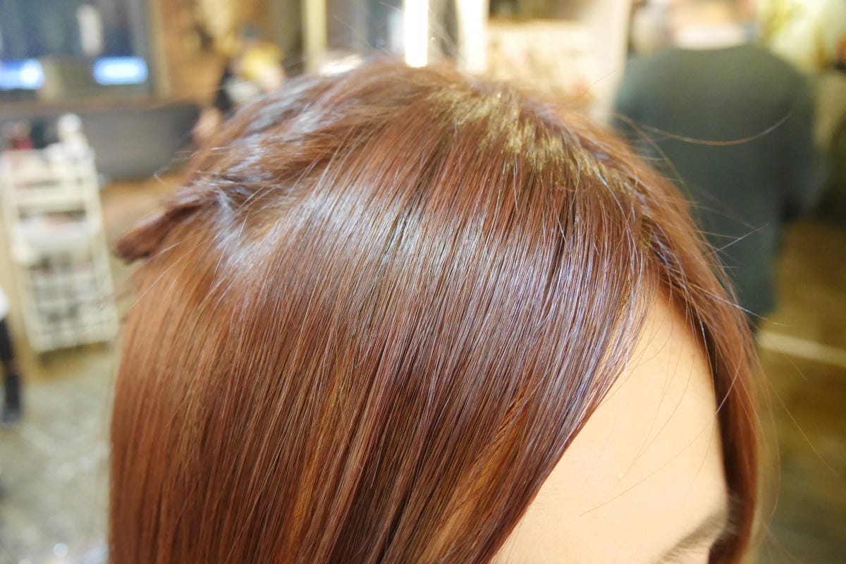 P1340107_副本.jpg P1340107_副本.jpg