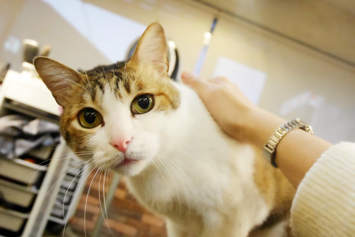 P1330992_副本.jpg P1330992_副本.jpg