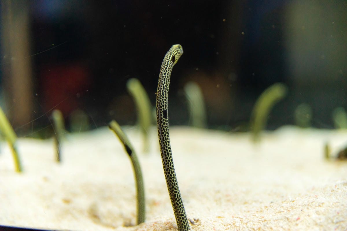 DSC06811_副本.jpg DSC06811_副本.jpg