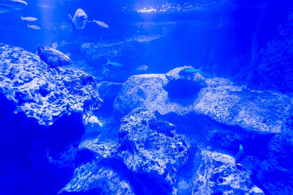 DSC06794_副本.jpg DSC06794_副本.jpg