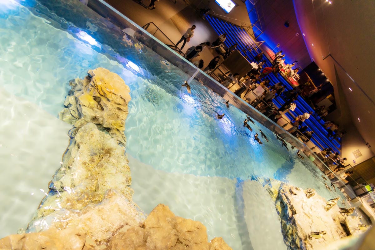 DSC06931_副本.jpg DSC06931_副本.jpg