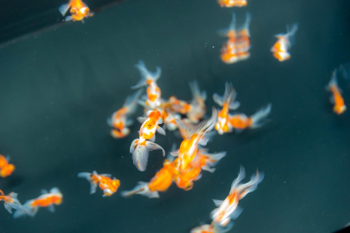 DSC06891_副本.jpg DSC06891_副本.jpg