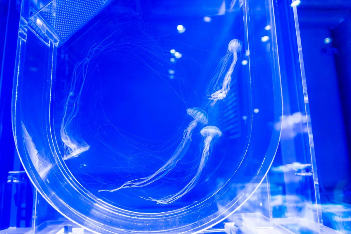 DSC06771_副本.jpg DSC06771_副本.jpg