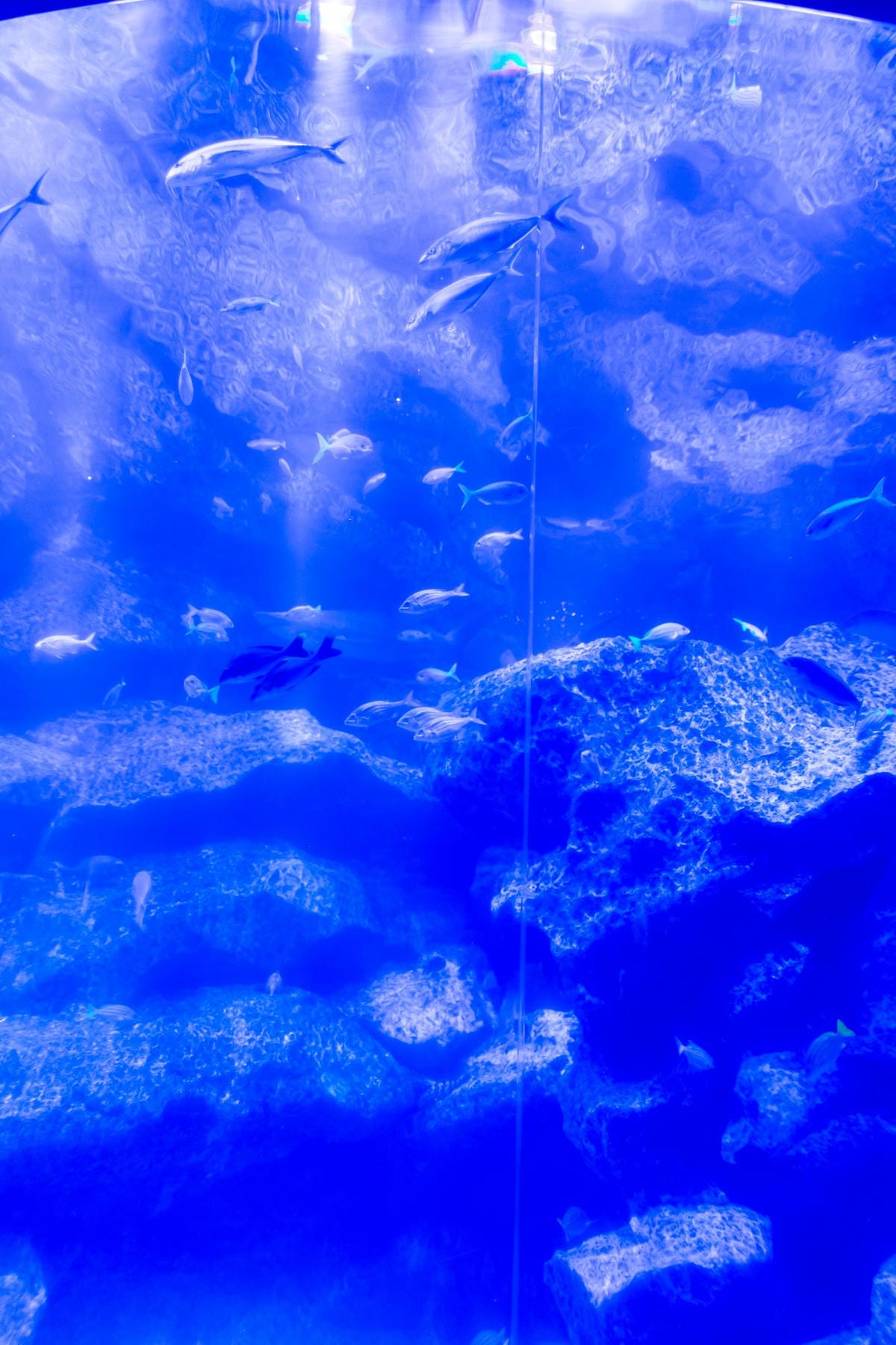 DSC06825_副本.jpg DSC06825_副本.jpg