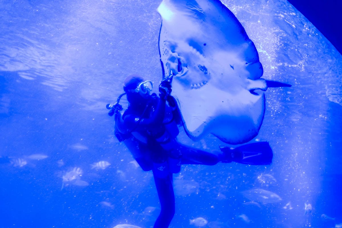 DSC06926_副本.jpg DSC06926_副本.jpg