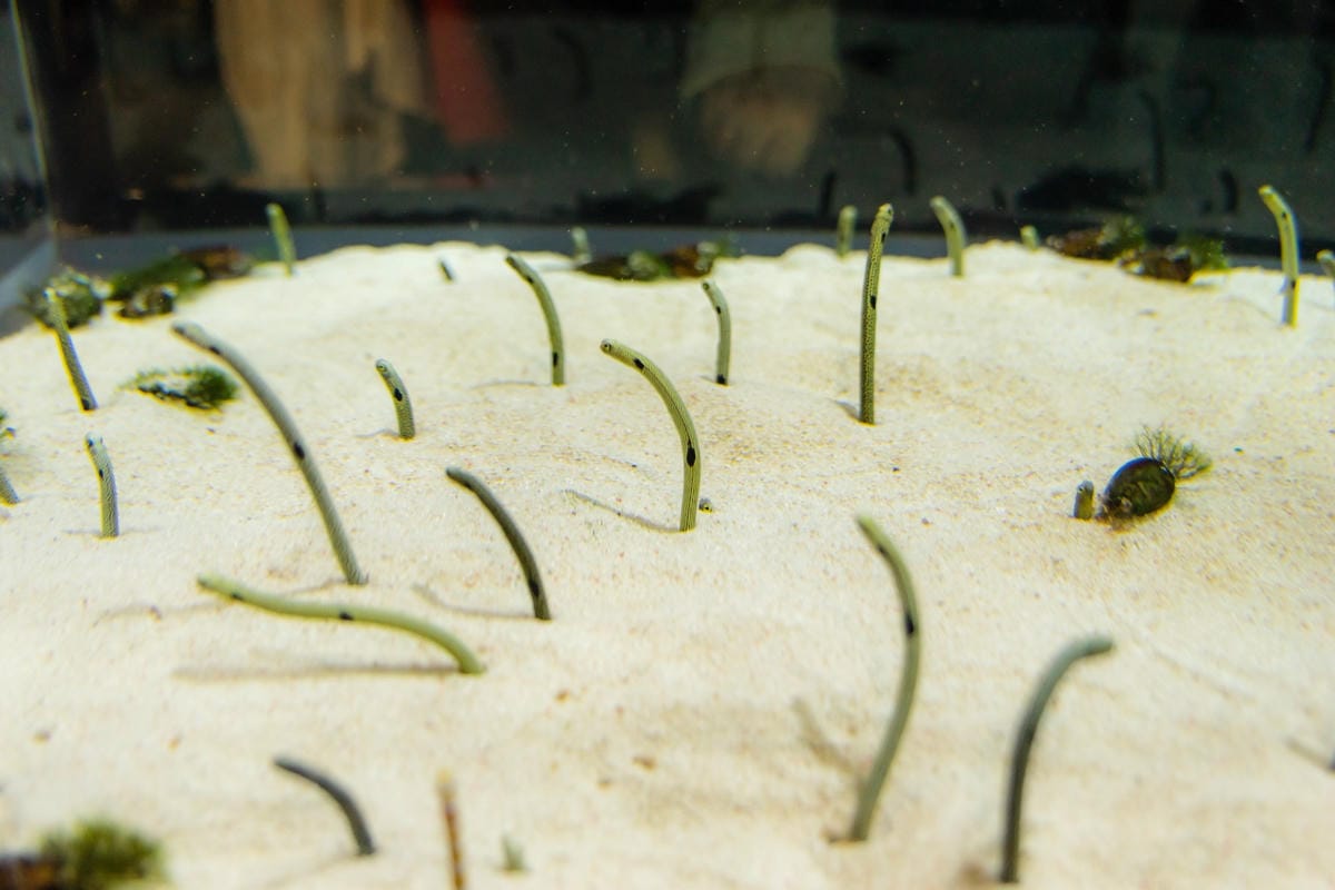 DSC06809_副本.jpg DSC06809_副本.jpg