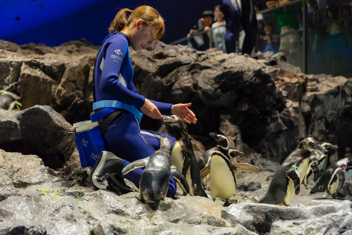 DSC06873_副本.jpg DSC06873_副本.jpg