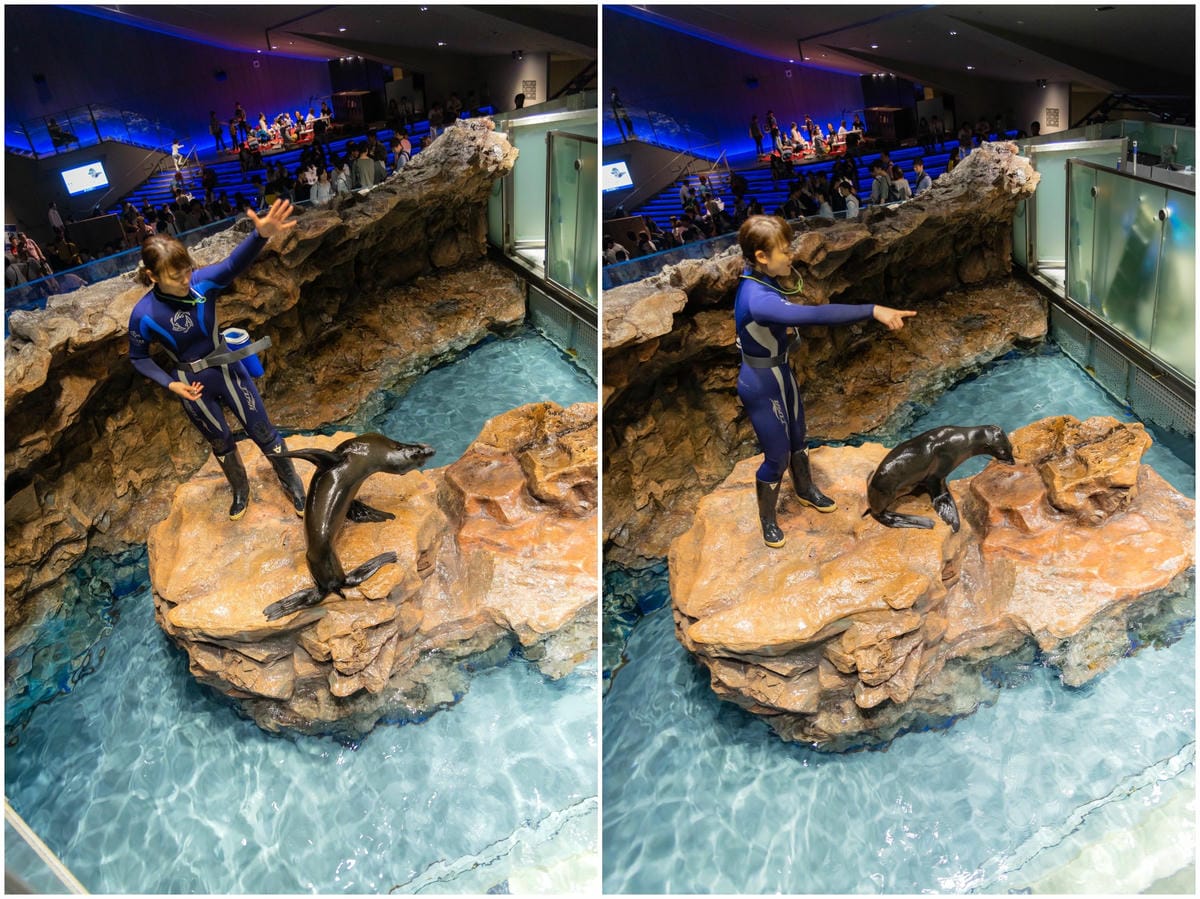 DSC06936_副本.jpg DSC06936_副本.jpg