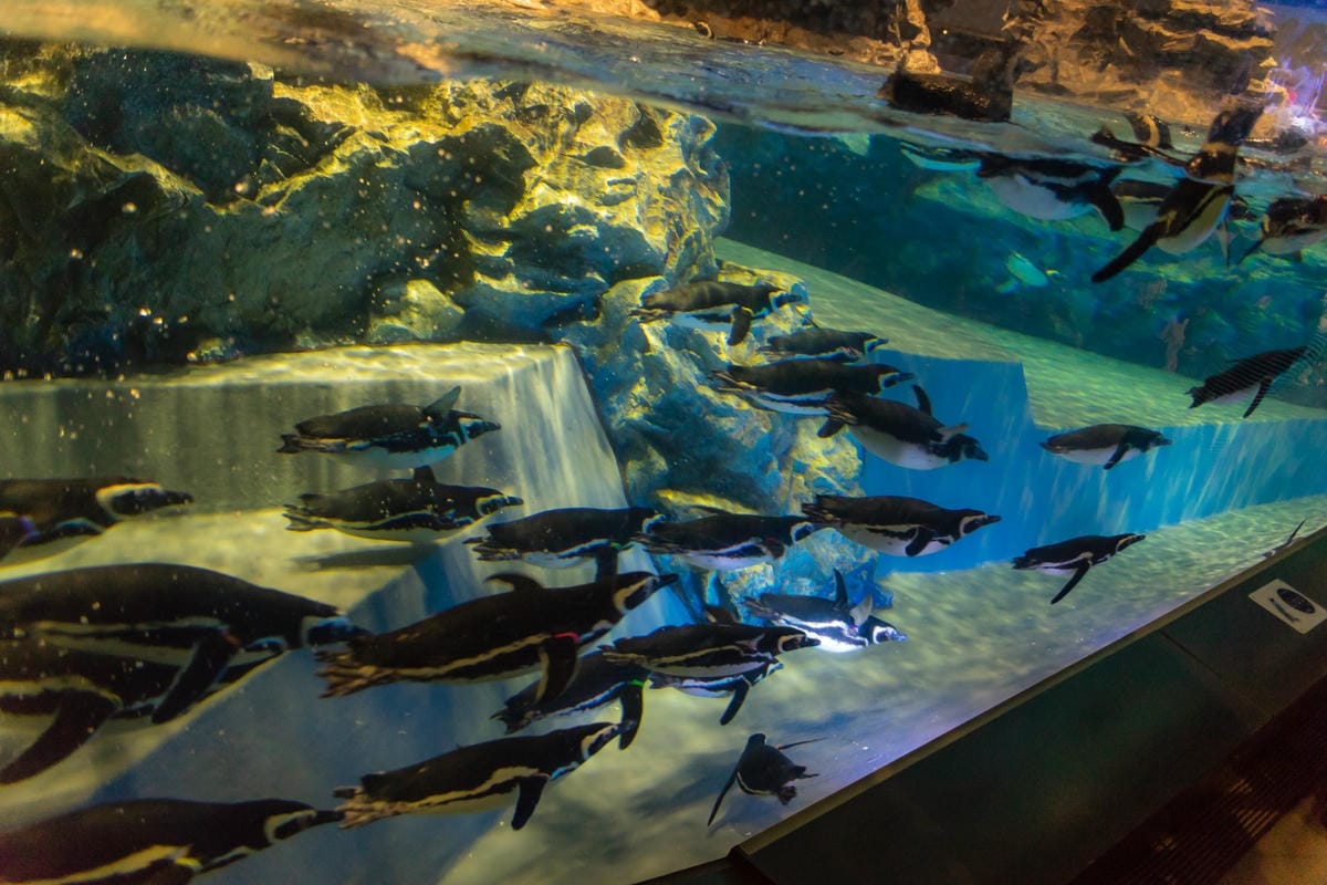 DSC06849_副本.jpg DSC06849_副本.jpg