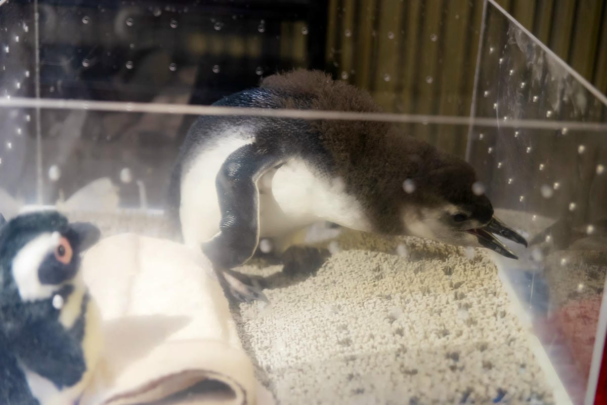 DSC06930_副本.jpg DSC06930_副本.jpg