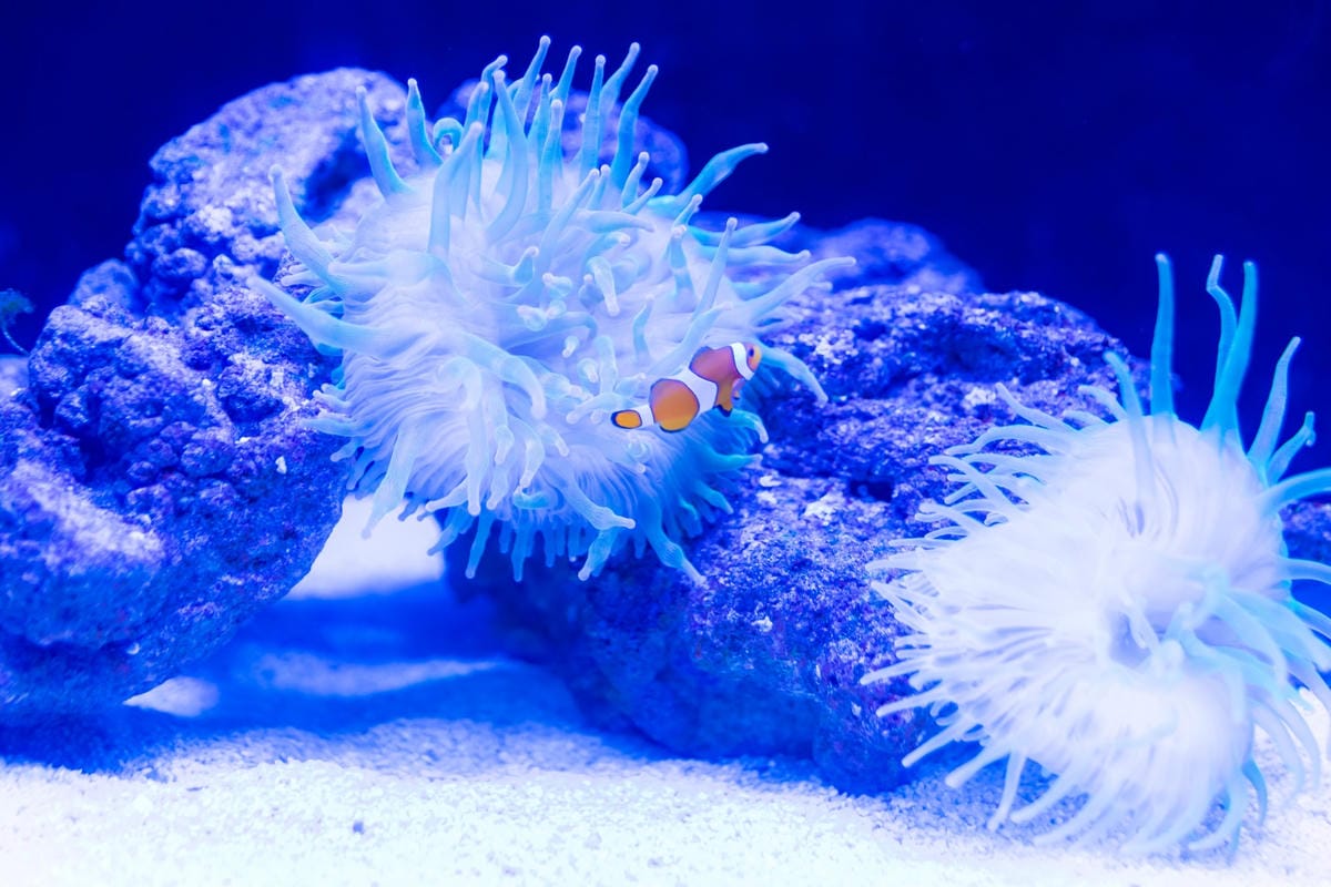 DSC06785_副本.jpg DSC06785_副本.jpg