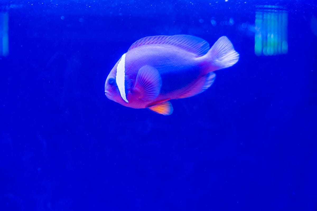 DSC06783_副本.jpg DSC06783_副本.jpg