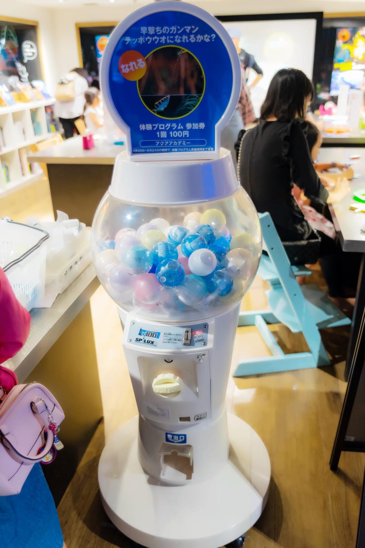 DSC06911_副本.jpg DSC06911_副本.jpg