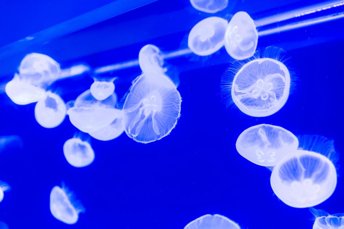 DSC06758_副本.jpg DSC06758_副本.jpg