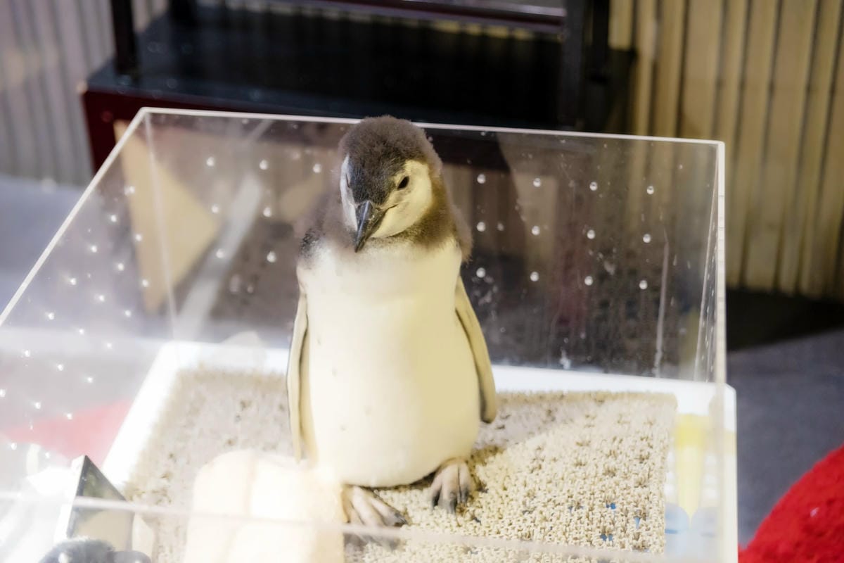 DSC06928_副本.jpg DSC06928_副本.jpg