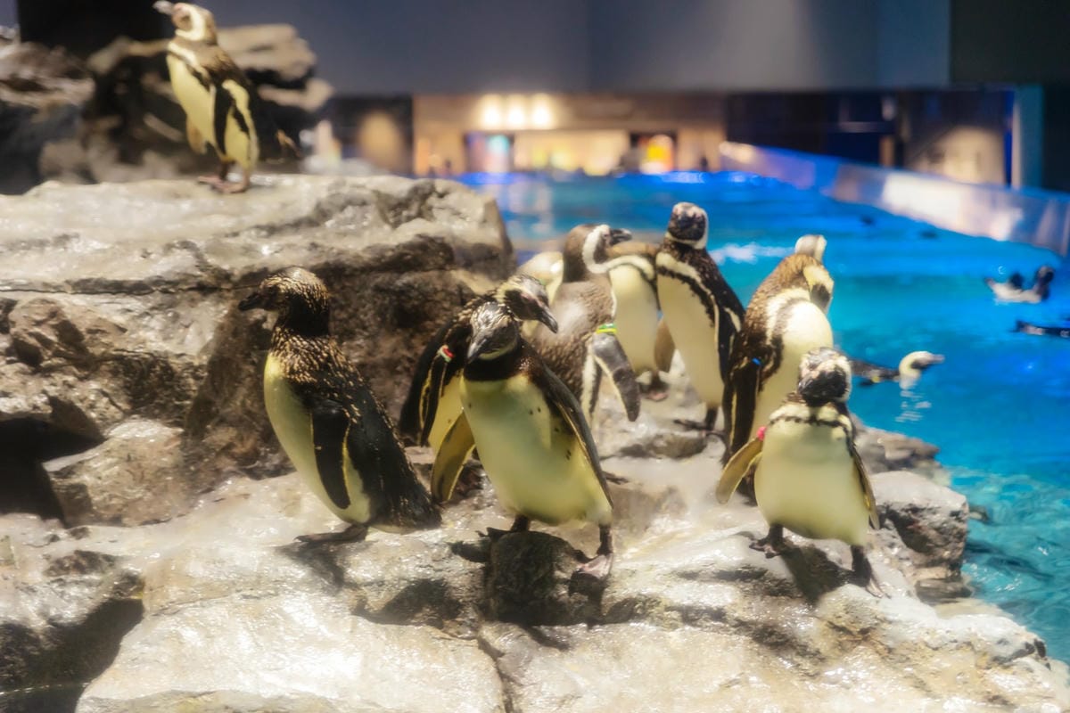 DSC06944_副本.jpg DSC06944_副本.jpg