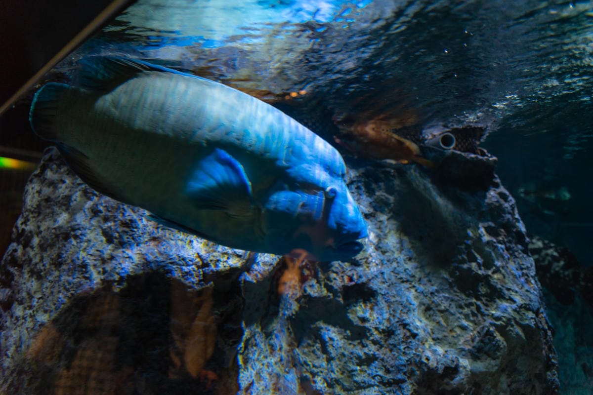 DSC06814_副本.jpg DSC06814_副本.jpg