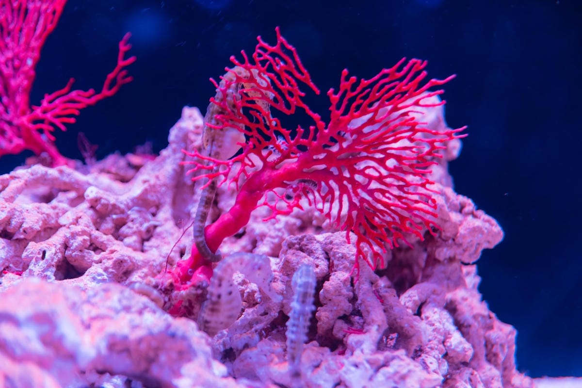 DSC06818_副本.jpg DSC06818_副本.jpg