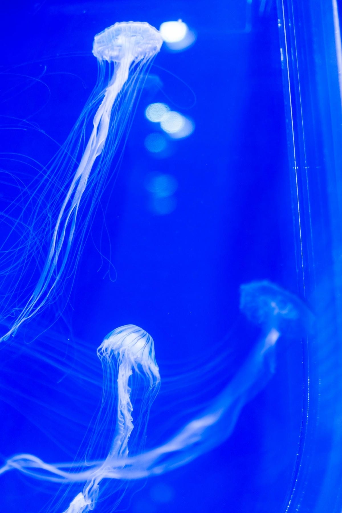 DSC06773_副本.jpg DSC06773_副本.jpg