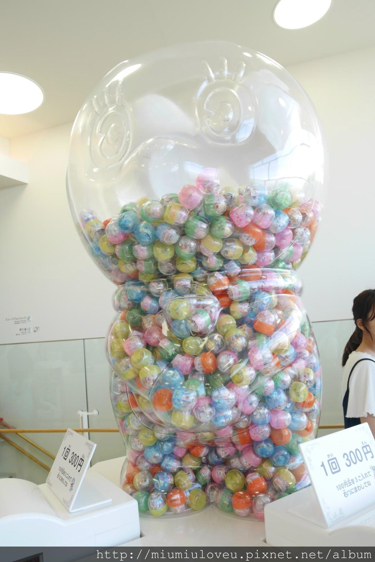 P1430426_副本.jpg P1430426_副本.jpg