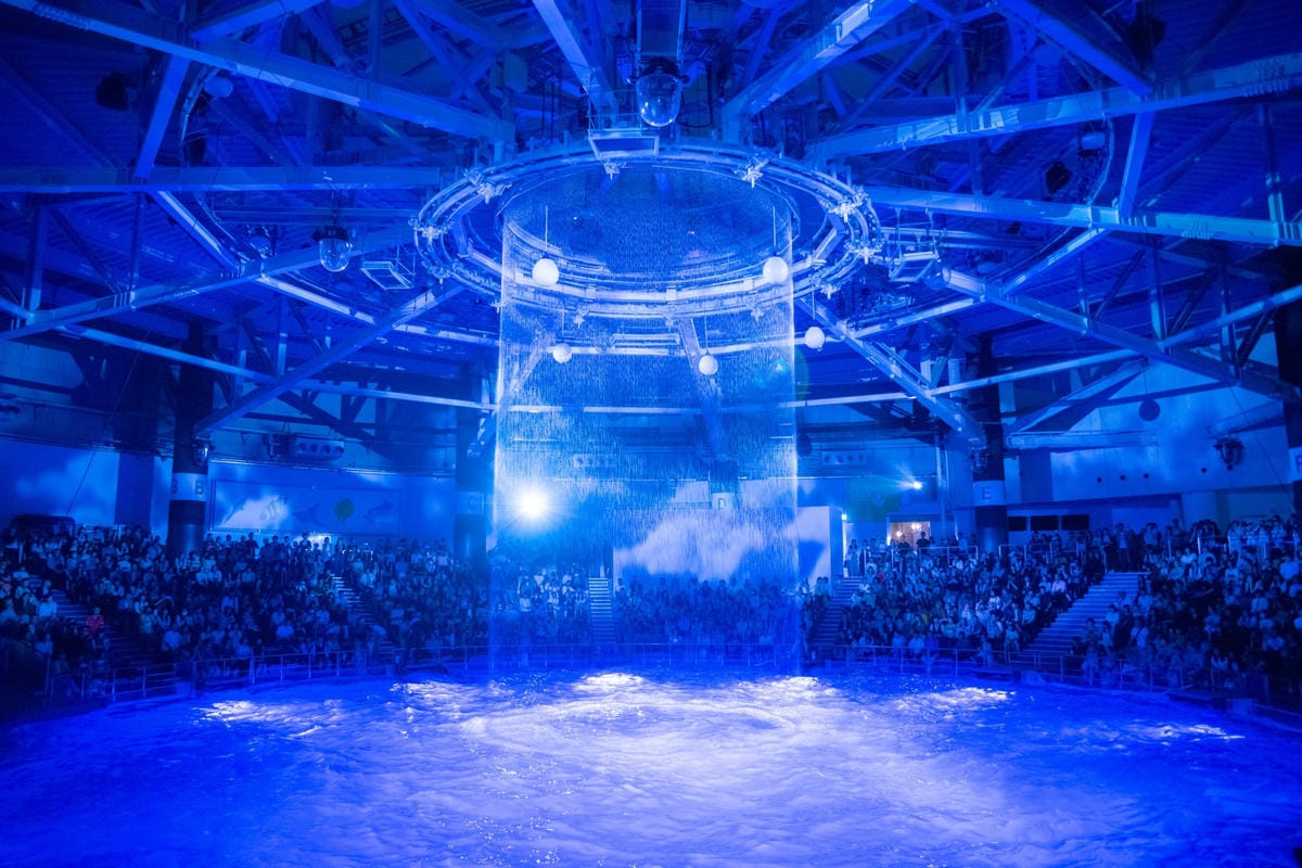 東京品川水族館 Aqua Park— 五彩繽紛海豚表演/水母漫步/可愛企鵝表演 - 第76張圖 東京品川水族館 Aqua Park— 五彩繽紛海豚表演/水母漫步/可愛企鵝表演