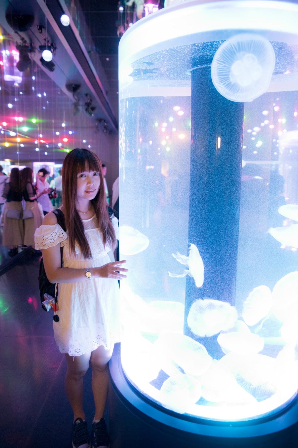 DSC08403_副本.jpg DSC08403_副本.jpg