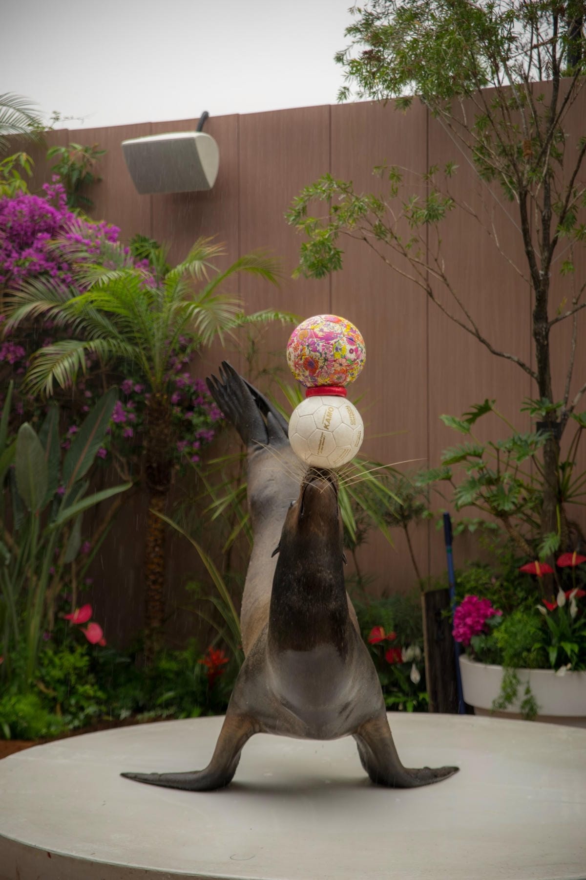 DSC08323_副本.jpg DSC08323_副本.jpg