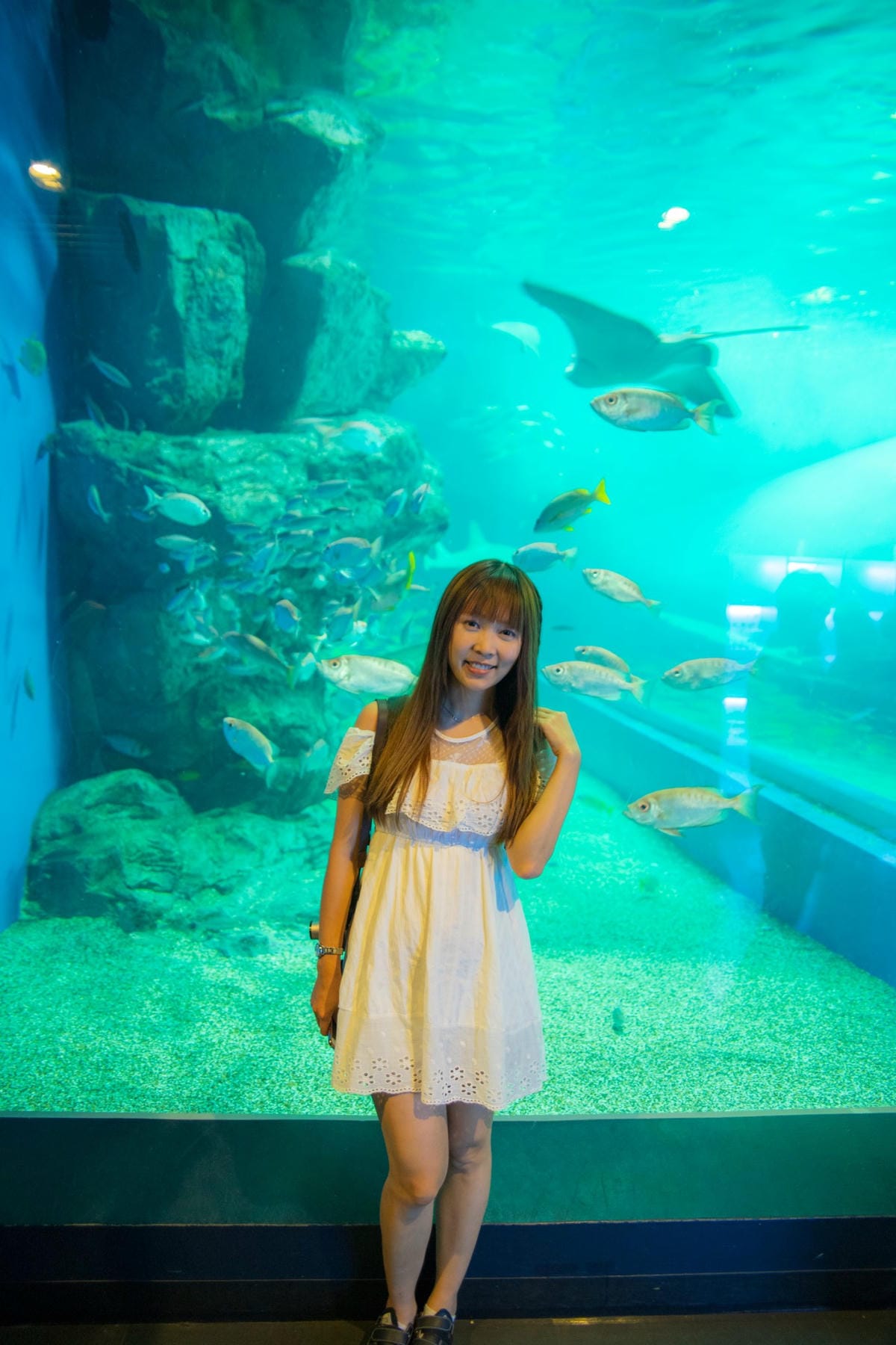 DSC08380_副本.jpg DSC08380_副本.jpg