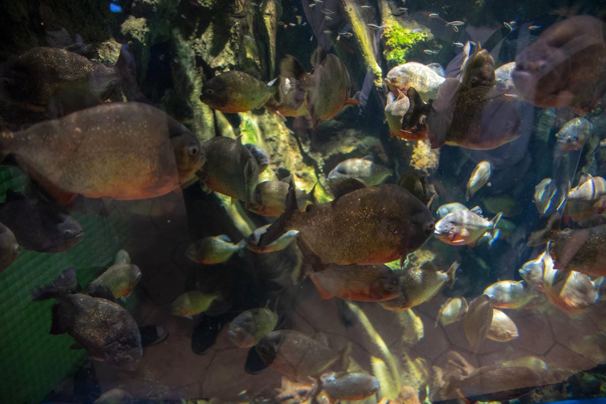 DSC08297_副本.jpg DSC08297_副本.jpg