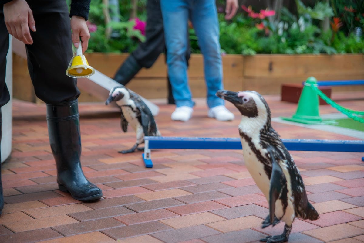 DSC08171_副本.jpg DSC08171_副本.jpg