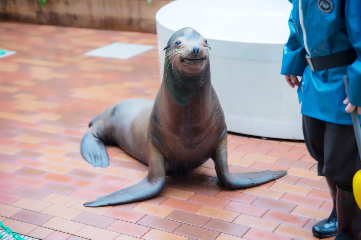 DSC08324_副本.jpg DSC08324_副本.jpg