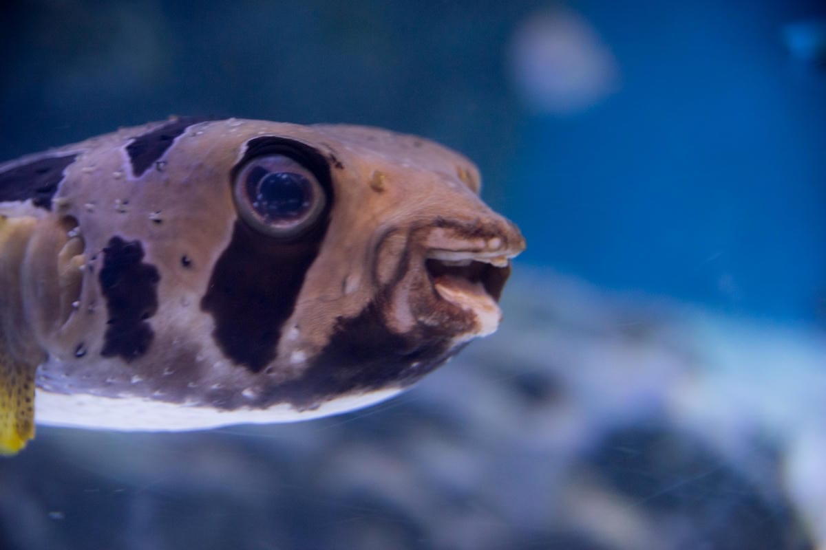 DSC08267_副本.jpg DSC08267_副本.jpg