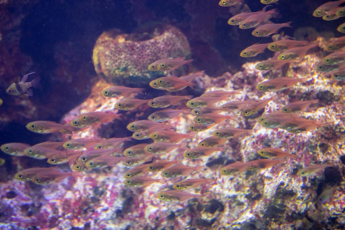 DSC08383_副本.jpg DSC08383_副本.jpg