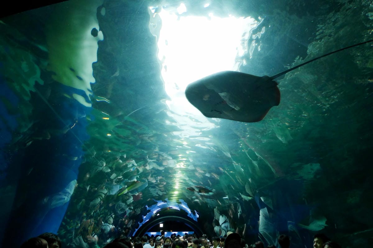 P1430045_副本.jpg P1430045_副本.jpg