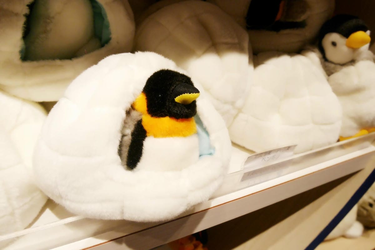 東京品川水族館 Aqua Park— 五彩繽紛海豚表演/水母漫步/可愛企鵝表演 - 第93張圖 東京品川水族館 Aqua Park— 五彩繽紛海豚表演/水母漫步/可愛企鵝表演