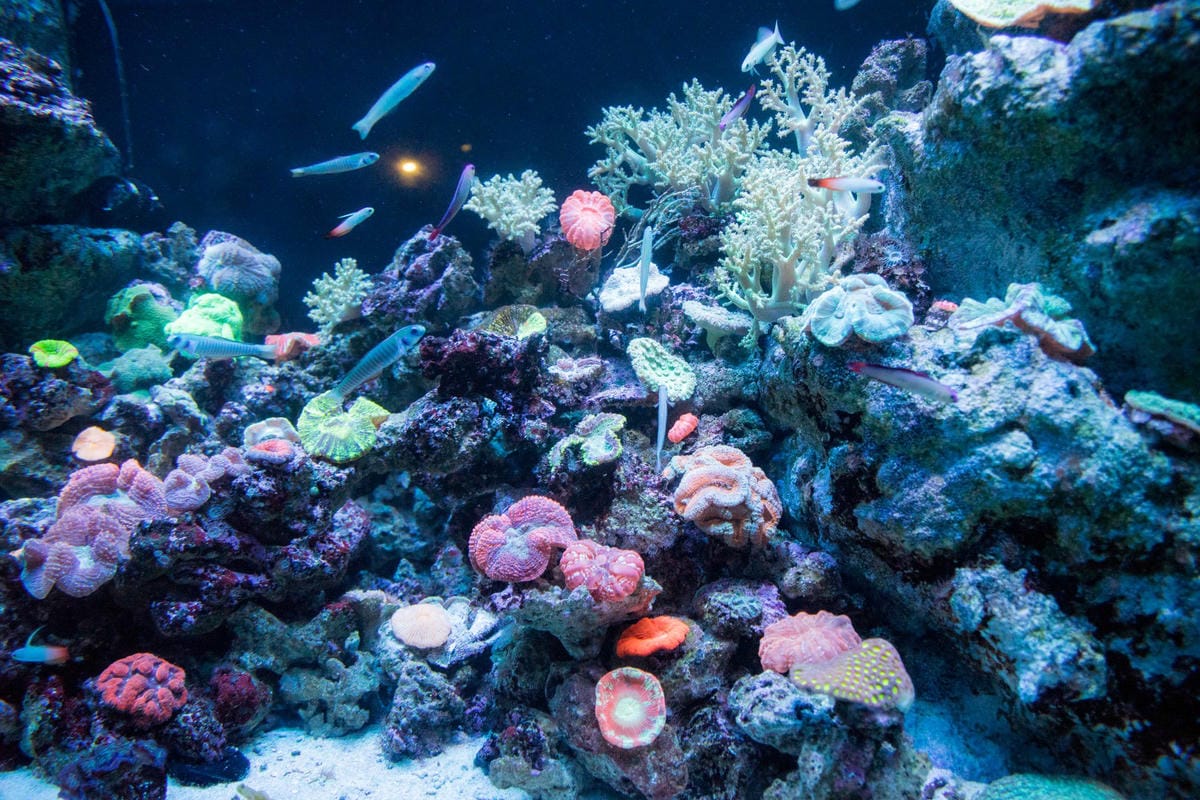 DSC08398_副本.jpg DSC08398_副本.jpg