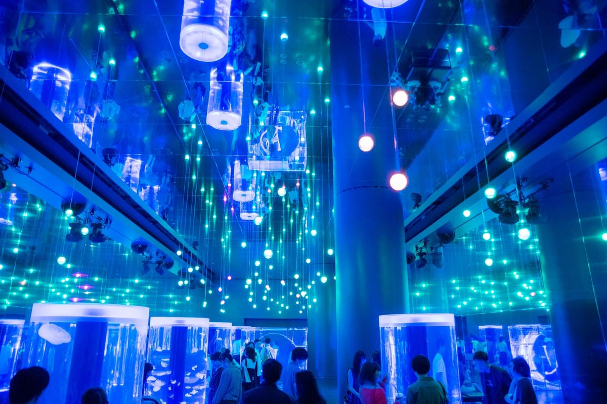 東京品川水族館 Aqua Park— 五彩繽紛海豚表演/水母漫步/可愛企鵝表演 - 第65張圖 東京品川水族館 Aqua Park— 五彩繽紛海豚表演/水母漫步/可愛企鵝表演