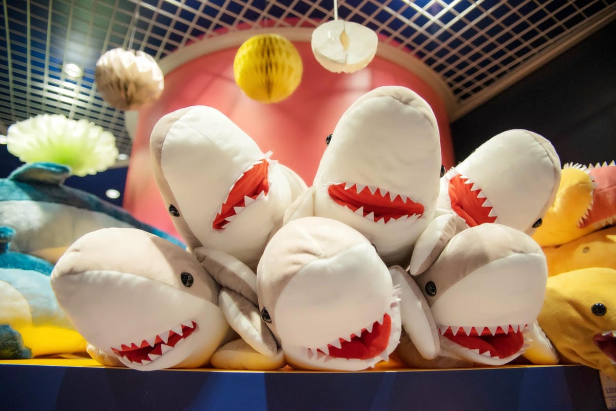 DSC08355_副本.jpg DSC08355_副本.jpg