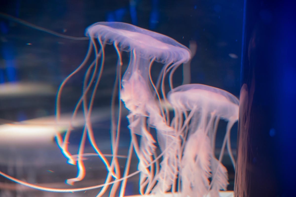 DSC08407_副本.jpg DSC08407_副本.jpg