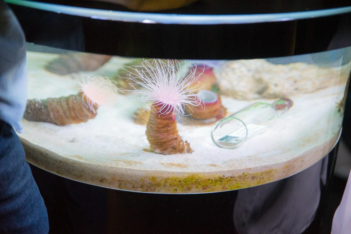 DSC08388_副本.jpg DSC08388_副本.jpg