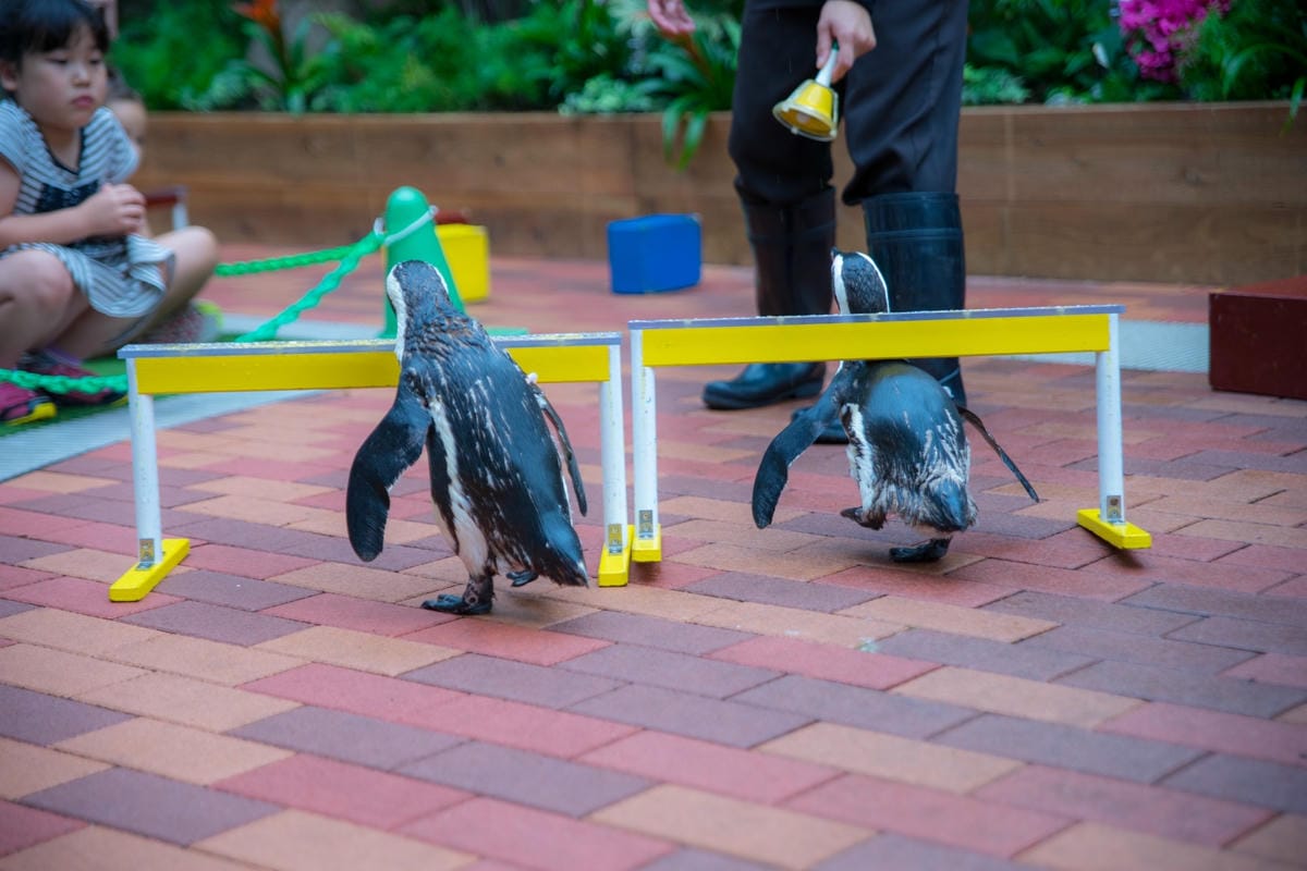 DSC08172_副本.jpg DSC08172_副本.jpg